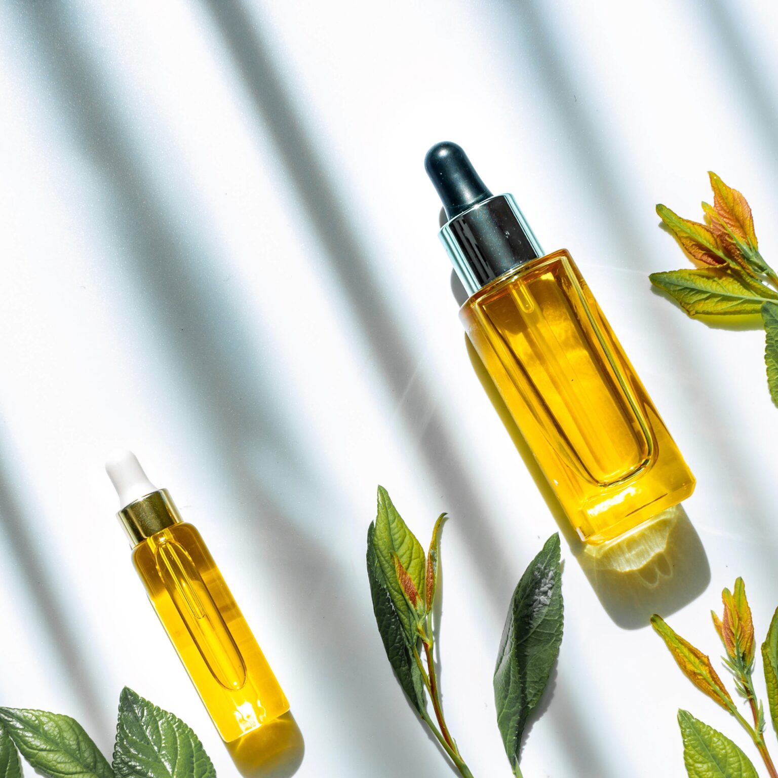 Glass bottle with cosmetic essential oil, fresh green branches and leaves isolated on white background. Organic natural product. Flat lay, top view. Copy space.